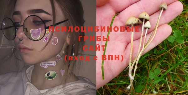 гидропоника Аркадак