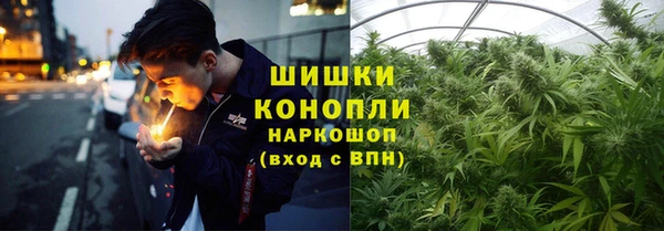 гидропоника Аркадак